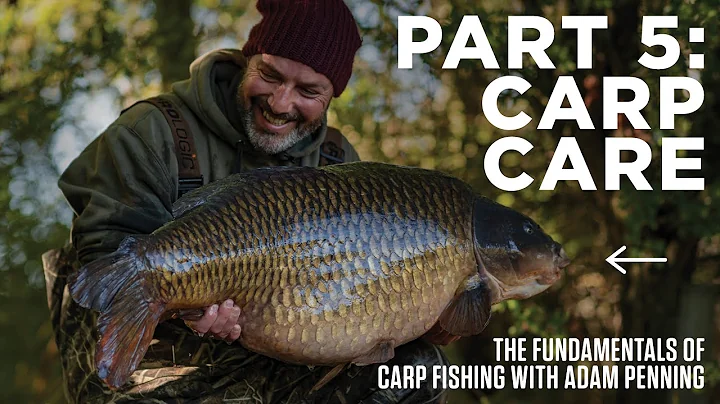 Carp Care | The Fundamentals of Carp Fishing with ...