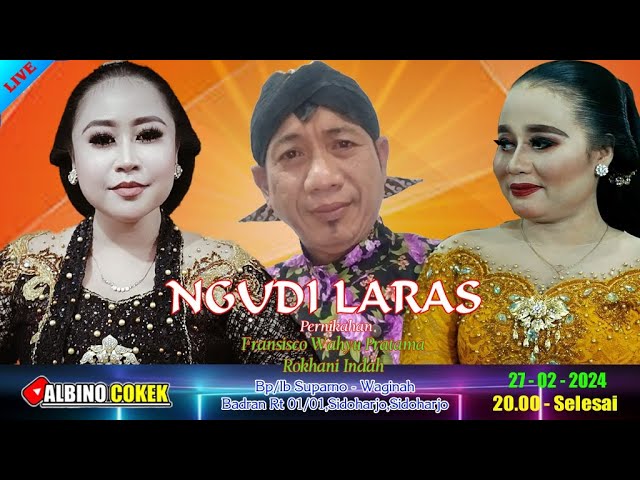 LIVE  NGUDI LARAS// BINTANG PAPUA mr.UDIK // ALBINO class=