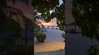 ??️ Maldives islands  جزر المالديف