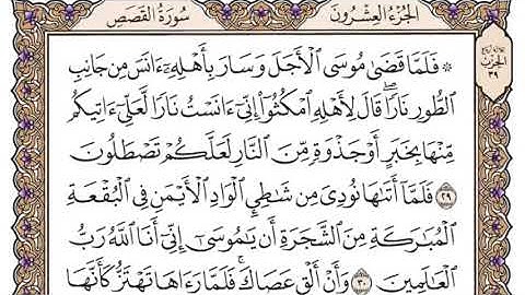 سورة القصص مكتوبة محمد أيوب #alhamdulillah #سبحان_الله #القرآن_الكريم