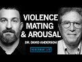Thumbnail pour The Biology of Aggression, Mating, & Arousal | Dr. David Anderson