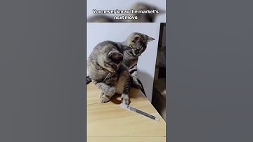 Market guess check | Forex Trading