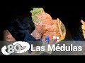 80 cm - Las Médulas, la mayor mina a cielo abierto del imperio romano