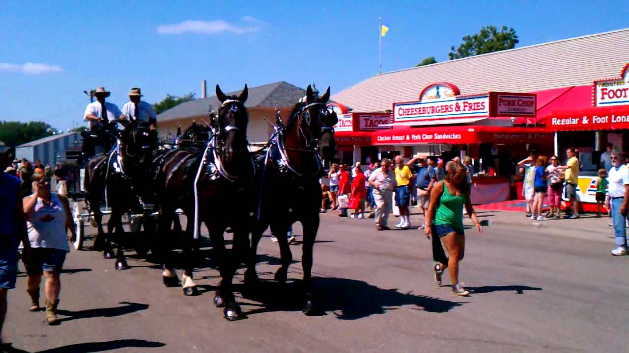Draft horses at the Minnesota State Fair - YouTube