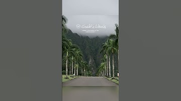 #سورة_الانبياء #وَذَا النُّونِ إِذْ ذَهَبَ مُغَاضِبًا فَظَنَّ أَنْ لَنْ نَقْدِرَ عَلَيْهِ فَنَادَى