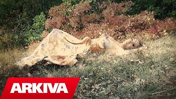 Teuta Selimi - Kush don le t