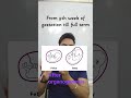 Embryo nd Feotus during gestation period #biology #viral #education #pregnancy #female reproduction