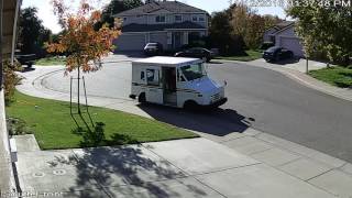 postal litterbug 2