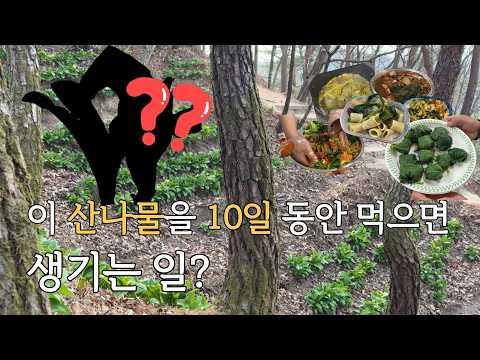 한국인이라면 좋아할 수 밖에 없는 '이것' 10일 동안 먹어봤습니다