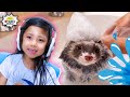 Kids react to Baby Ferret Bath time with Ryan&#39;s World