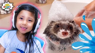 kids react to baby ferret bath time with ryans world