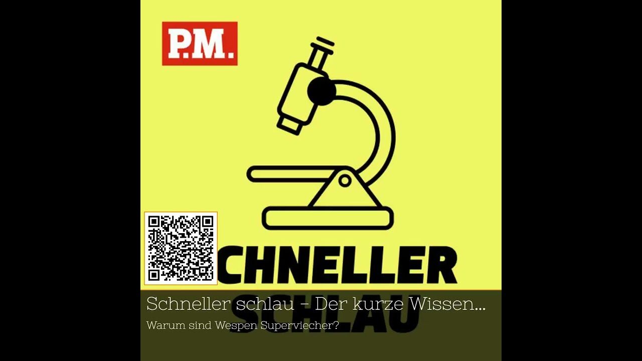 Entdecke die faszinierende Welt der Wespen mit Michael Ohl! 