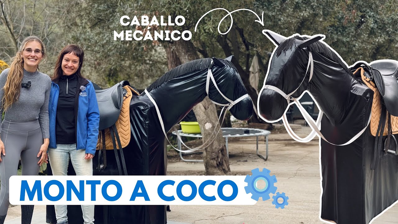 Probando a Coco 🐎✨ Entrenamiento consciente en caballo mecánico