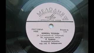 картинка: Валентина Куприна – Червона троянда (1965)