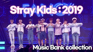 Stray Kids 스트레이 키즈 | MIROH, 부작용(Side Effects) : 2019 Stage | Music Bank Collection | 잼플 | KBS