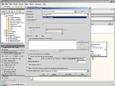 Creating a Database Maintainence Plan for backing up Data and Logs in Sql Server 2008 R2
