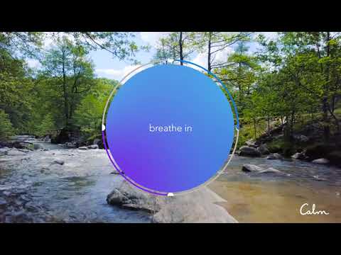 Calm | Breathe Bubble