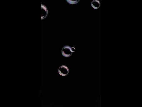 سيف نبيل غلاي انت