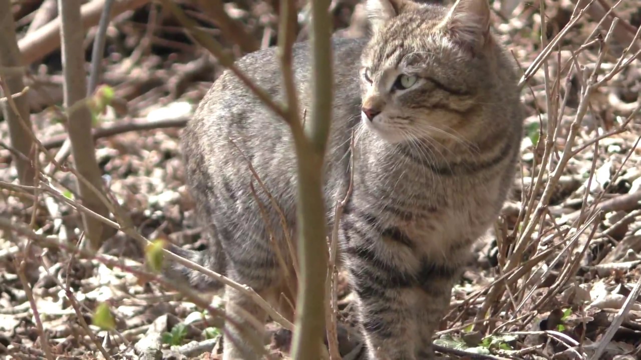 Рыба есть!Рыбалка на реке Луга весной. - YouTube