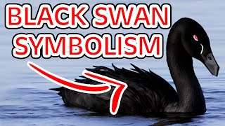 Black Swan: Symbolism and Dream Meaning