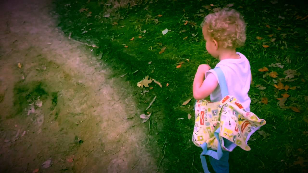 Crows Woods Nature Preserve - Haddonfield, NJ - YouTube