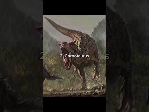 3 Mid-sized Carnivorous Dinosaurs you would NOT wanna anger.. #mesozoic #prehistoric #dinosaur