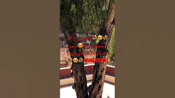 اكسبلور دعاء رسول الله صلى الله عليه وسلم لقضاء الحاجة دعاء مستجاب 