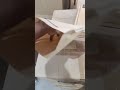 Video Image