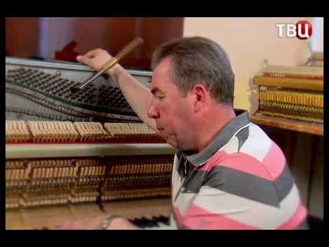 Основы настройки пианино — Pianomax.ru.