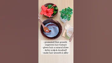 Hibiscus 🌺 serum for hair growth at home #shorts #youtubeshorts