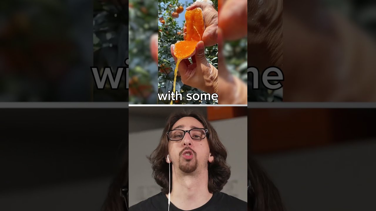 World S Juiciest Orange 