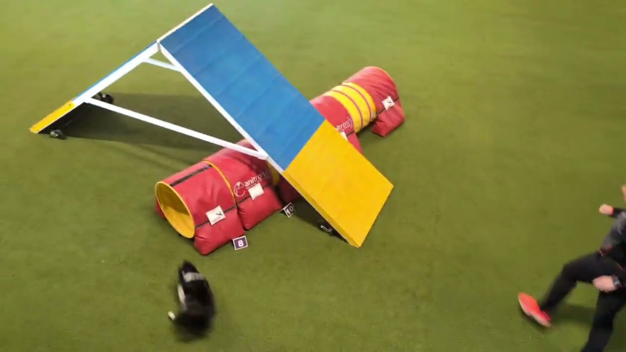 4. Get the Contact 2025 Gerald und Pace Agility