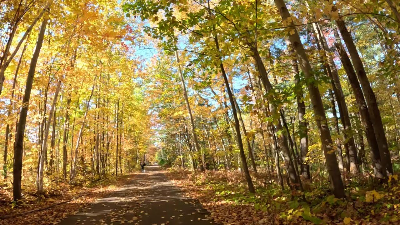 Bike Ride through Fall Colors Houghton Michigan