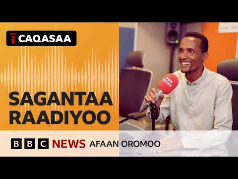 Sagantaa Raadiyoo BBC Afaan Oromoo Hagayya 11 2025 BBC News Afaan Oromoo
