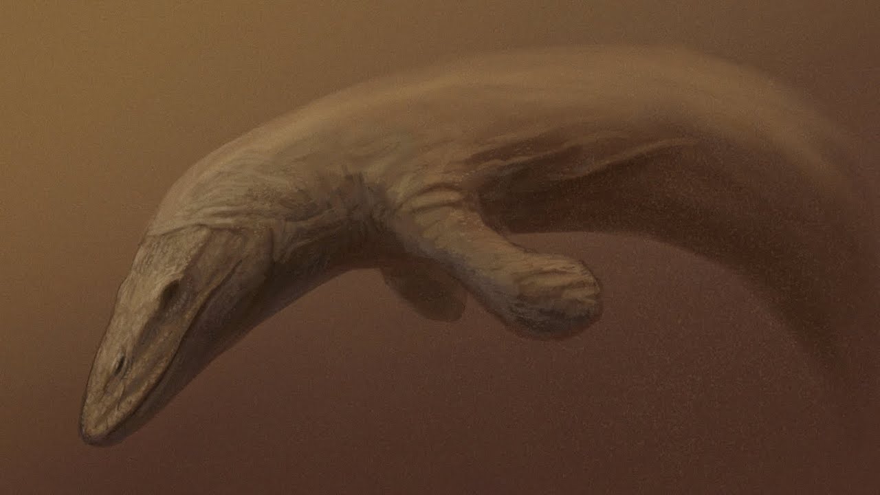 Khi Quái Vật Biển Trở Thành Quái Vật Sông