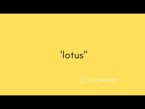 &rsquo;lotus&rsquo; meaning