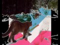 Animal SpaceNew Age Steppers