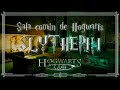 La sala común de Hogwarts en 360 - 8K - 3D | ¡¡SLYTHERIN!!🐍