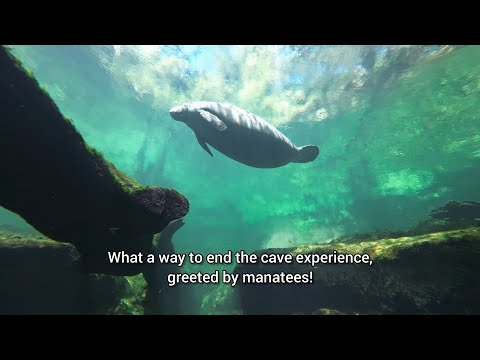Cave Diving Volusia Blue Spring Florida - Blue Spring State Park