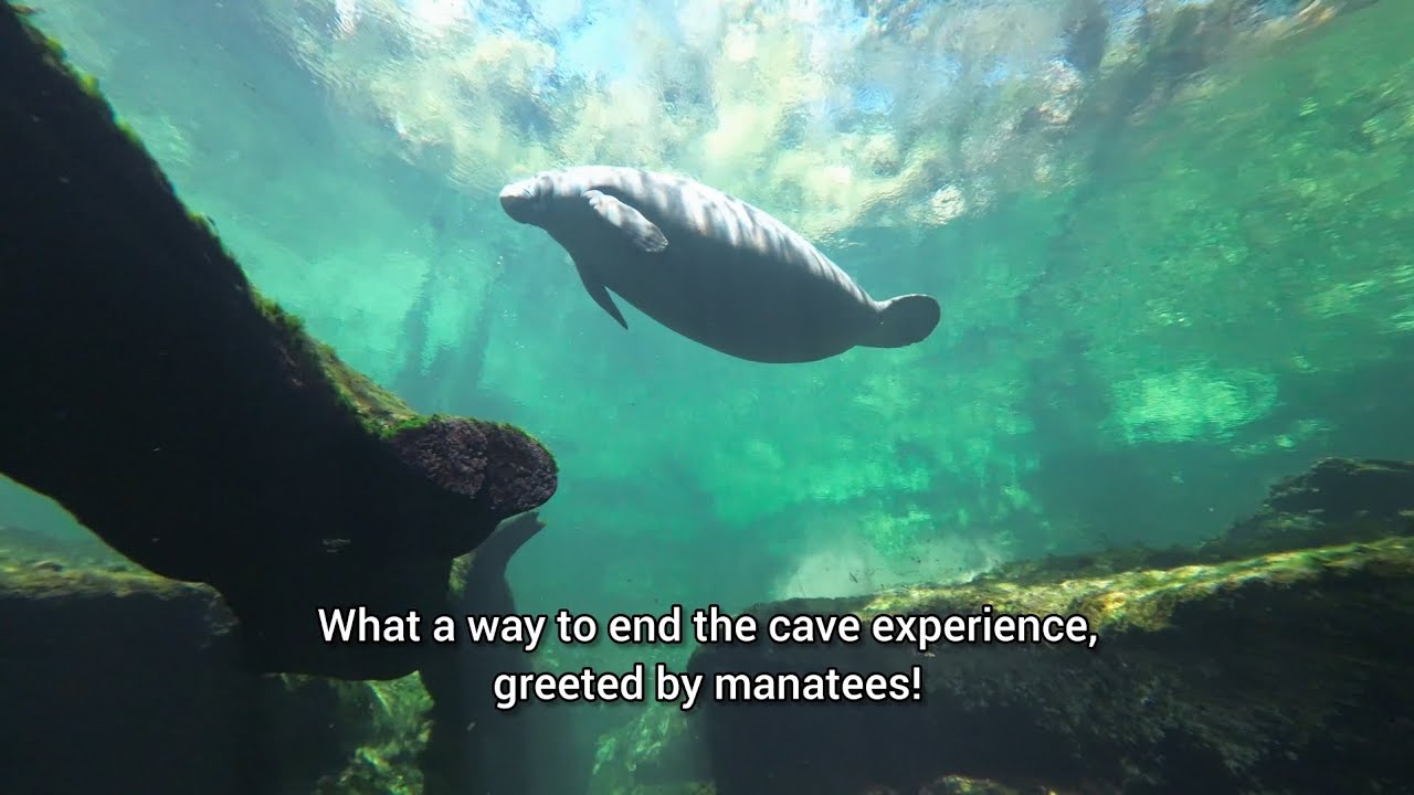 Cave Diving Volusia Blue Spring Florida - Blue Spring State Park