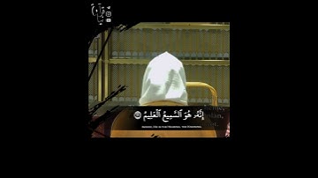 ﴿وَتَوَكَّل عَلَى العَزيزِ الرَّحيمِ﴾ من سورة الشعراء للشيخ ياسر الدوسري رمضان ١٤٤٣هـ 🤍..