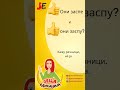Правопис они заспе или они заспу Или обоје Правопис они заспе или они заспу Или обоје