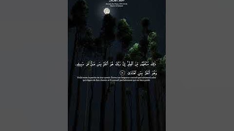 سورة النجم ناصر القطامي    sorat el najm naser el qutami