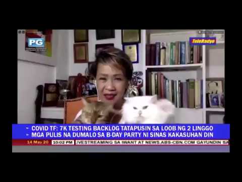 Huge Cat Fight behind Reporter (Doris Bigornia) during Philippines TV live interview :D :D
