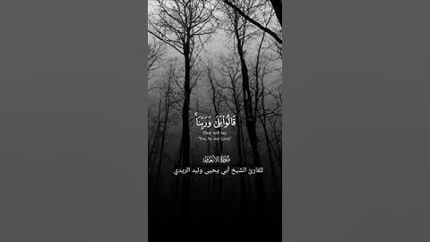 تلاوة مباركة من سورة الأنعام { ولو ترى إذ وقفوا على ربهم } الآية للشيخ/أبي يحيى وليد بن زايد الريدي