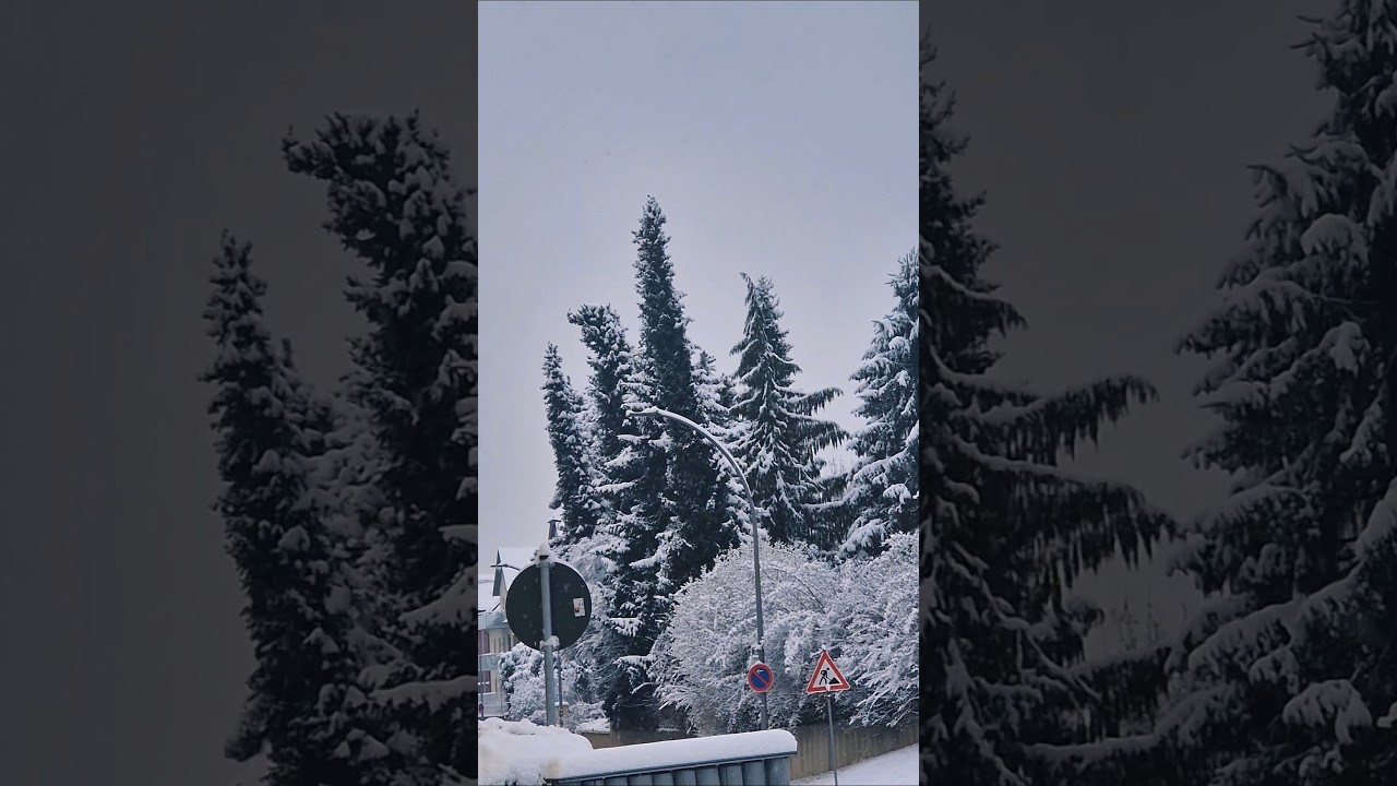 Языковой экзамен в Германии🇩🇪🇪🇺