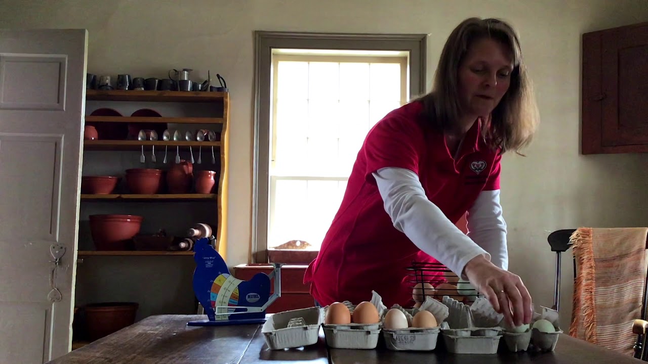 Egg Comparisons Grading and Sorting Eggs Virtual Field Trip YouTube