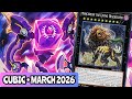 BEST! Cubic Deck Profile! MARCH 2026!