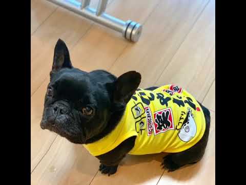 なんでやねん Youtube なんでやねん Youtube