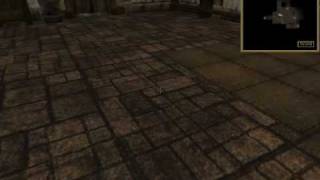 Morrowind Scripting Mod Test